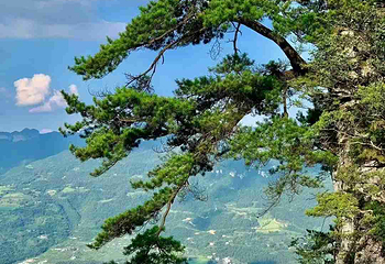 恩施大峡谷第 117 张图片