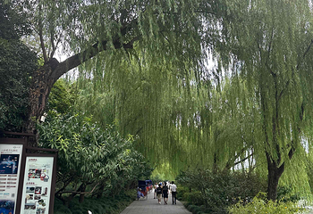 瘦西湖第 435 张图片