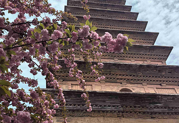 香积寺第 26 张图片