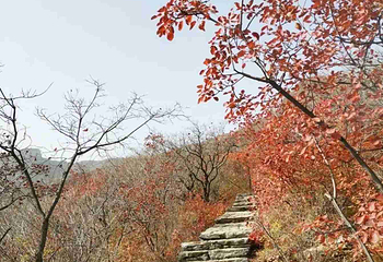 坡峰岭第 44 张图片