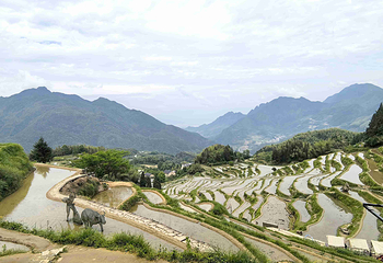 云和梯田景区第 65 张图片