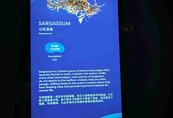 新加坡海洋生态馆第 120 张图片