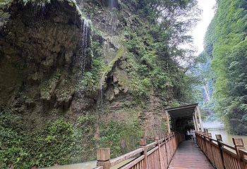 张家界大峡谷第 104 张图片