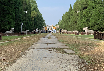 明显陵文化旅游景区第 49 张图片