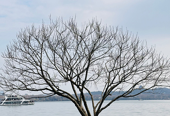 西湖风景名胜区第 249 张图片