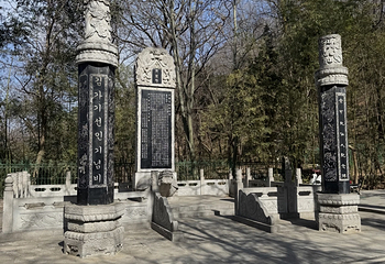 楼观台国家森林公园第 52 张图片