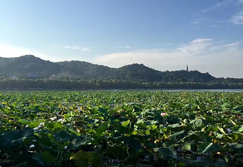 西湖风景名胜区第 254 张图片