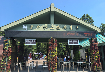 李中水上森林公园第 18 张图片