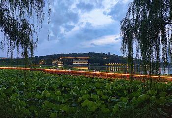 玄武湖景区第 152 张图片