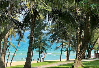 海棠湾第 113 张图片