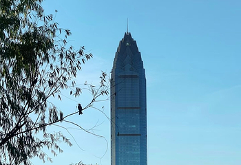 印象南塘第 14 张图片