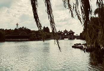 瘦西湖第 478 张图片