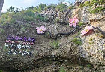 山东文旅·红叶柿岩旅游区第 60 张图片