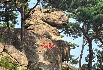 崂山风景区第 347 张图片