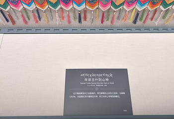 青海藏文化博物院第 201 张图片