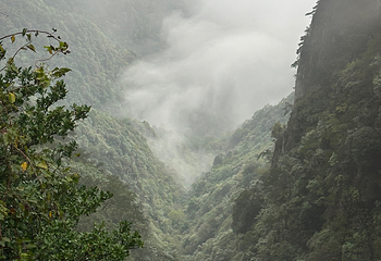 羊狮慕风景区第 68 张图片
