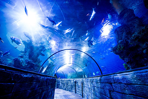 Malta National Aquarium