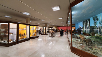 雅典大学历史博物馆