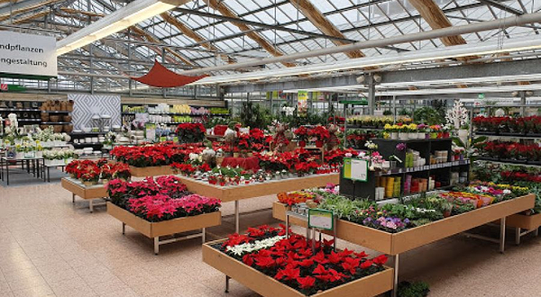 Dehner Garden Center
