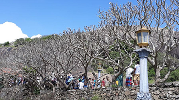 Dambulla Rock