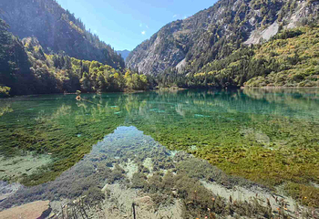 九寨沟风景区第 463 张图片