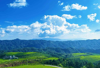 东山草原第 3 张图片