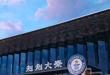 赳赳大秦第 69 张图片