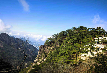 黄山风景区第 115 张图片
