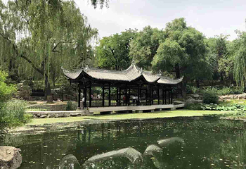 陶然亭公园第 41 张图片