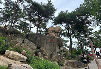崂山风景区第 231 张图片