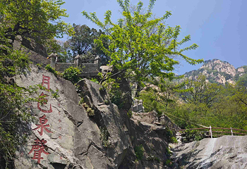 泰山风景区第 155 张图片