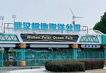 海合安武汉极地海洋公园第 333 张图片