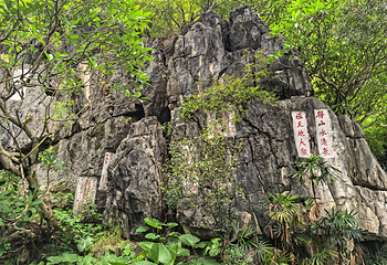 七星岩第 60 张图片