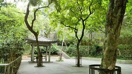 越秀公园第 273 张图片