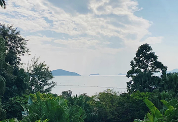 浅水湾第 59 张图片