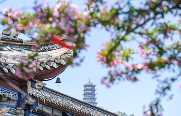 南桥第 46 张图片