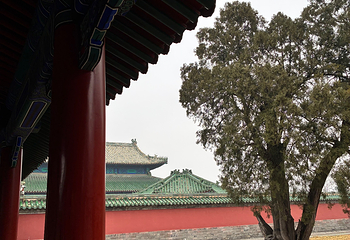 天坛公园第 203 张图片