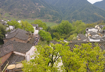 婺源篁岭景区第 228 张图片