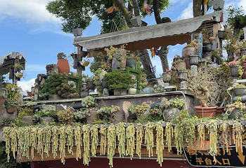 丽江古城第 90 张图片