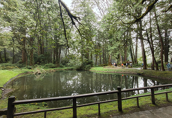 阿里山国家风景区第 36 张图片