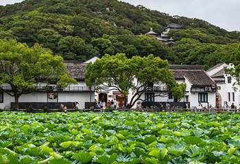 普陀山风景区第 84 张图片