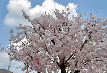 花都温泉度假区第 53 张图片