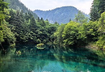九寨沟风景区第 204 张图片