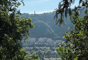 南山风景区第 111 张图片