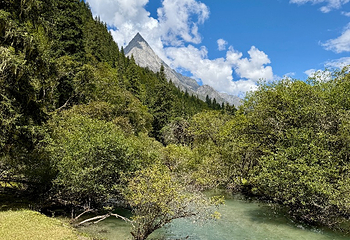 四姑娘山长坪沟景区第 20 张图片