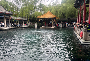 趵突泉景区第 170 张图片