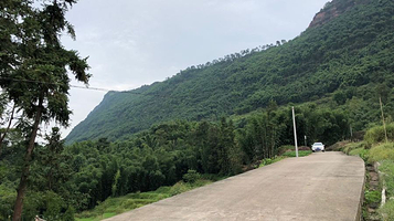 连天山森林公园