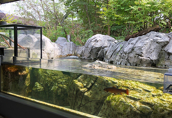 仙台海洋森林水族馆第 10 张图片
