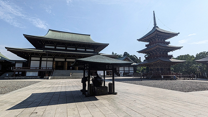 成田山新胜寺第 14 张图片