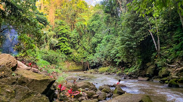 Obyek Wisata Goa Gajah